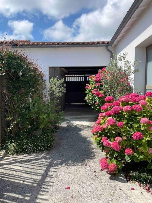 Maison De Vacances La Flotte 00491Ui Екстериор снимка